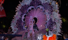 imgp0133
