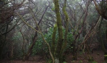 imgp3394