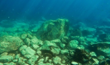 p1020658-2