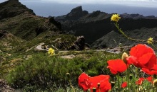 masca2